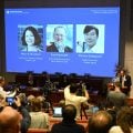 Nobel de Medicina premia três pesquisadores do sistema imunológico
