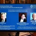 Nobel de Economia premia estudo sobre inovação e crescimento