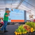 No Dia Mundial da Alimentação, Semiárido vira vitrine de soluções para crise climática