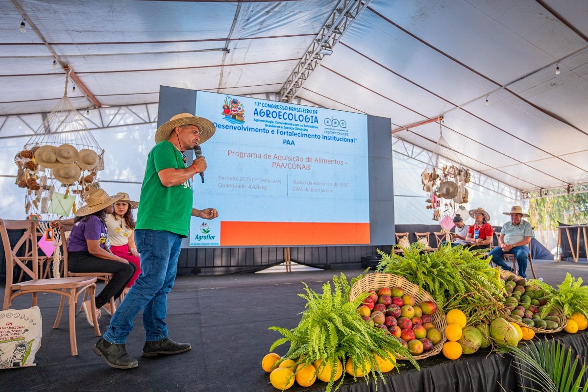 No Dia Mundial da Alimentação, Semiárido vira vitrine de soluções para crise climática