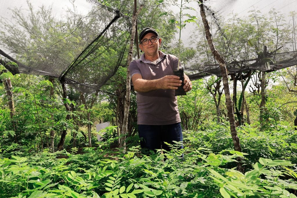 Congresso Brasileiro de Agroecologia discute territórios, soberania alimentar e ciência aplicada na Bahia