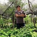 Congresso Brasileiro de Agroecologia discute territórios, soberania alimentar e ciência aplicada na Bahia