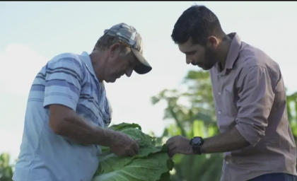 Produtores de Paranaíta transformam agricultura familiar em fonte de renda