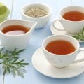 5 benefícios da planta losna para a saúde