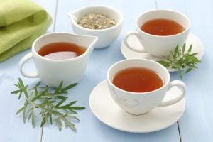 5 benefícios da planta losna para a saúde