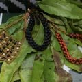 Muito além do “lookinho”: Sebrae leva biodiversidade às passarelas do SPFW