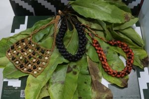 Muito além do “lookinho”: Sebrae leva biodiversidade às passarelas do SPFW