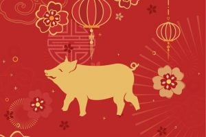 Veja as características do signo do Javali no Horóscopo Chinês