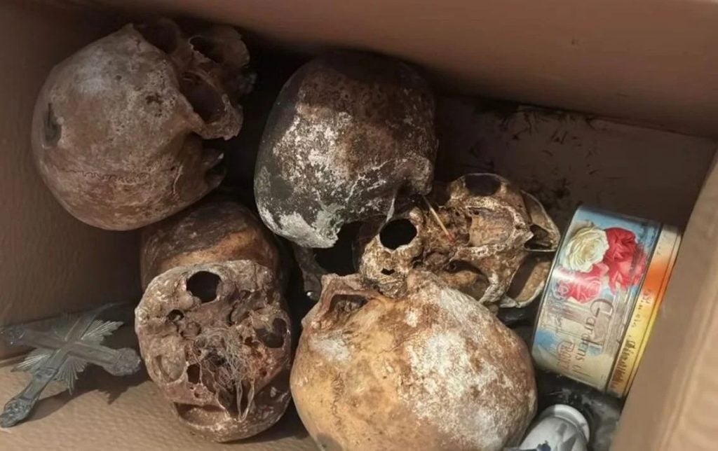 Polícia encontra mais de 12 crânios e ossos humanos em apartamento no Jardim Paulista, em São Paulo