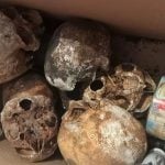 Polícia encontra mais de 12 crânios e ossos humanos em apartamento no Jardim Paulista, em São Paulo