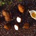5 benefícios da planta andiroba para a saúde