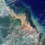 Entidades ambientais acionam a Justiça para suspender licença para a Petrobras na Foz do Amazonas