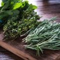 6 dicas para se alimentar bem na primavera