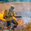 Raios provocam novo foco de incêndio na Chapada dos Veadeiros