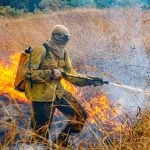 Raios provocam novo foco de incêndio na Chapada dos Veadeiros