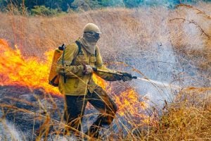 Raios provocam novo foco de incêndio na Chapada dos Veadeiros