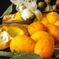 9 frutas com gorduras que fazem bem à saúde