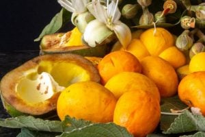9 frutas com gorduras que fazem bem à saúde