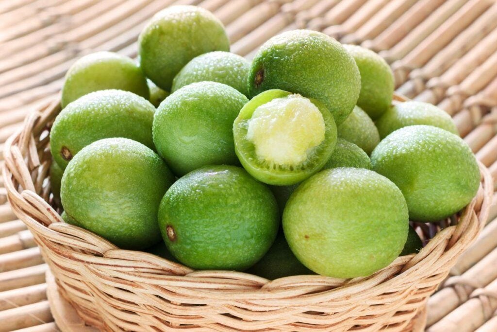 5 benefícios do umbu para a saúde