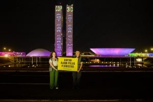 9 em cada 10 brasileiros acreditam que o governo deveria investir no combate ao desmatamento