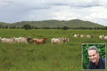 O diplomata do campo