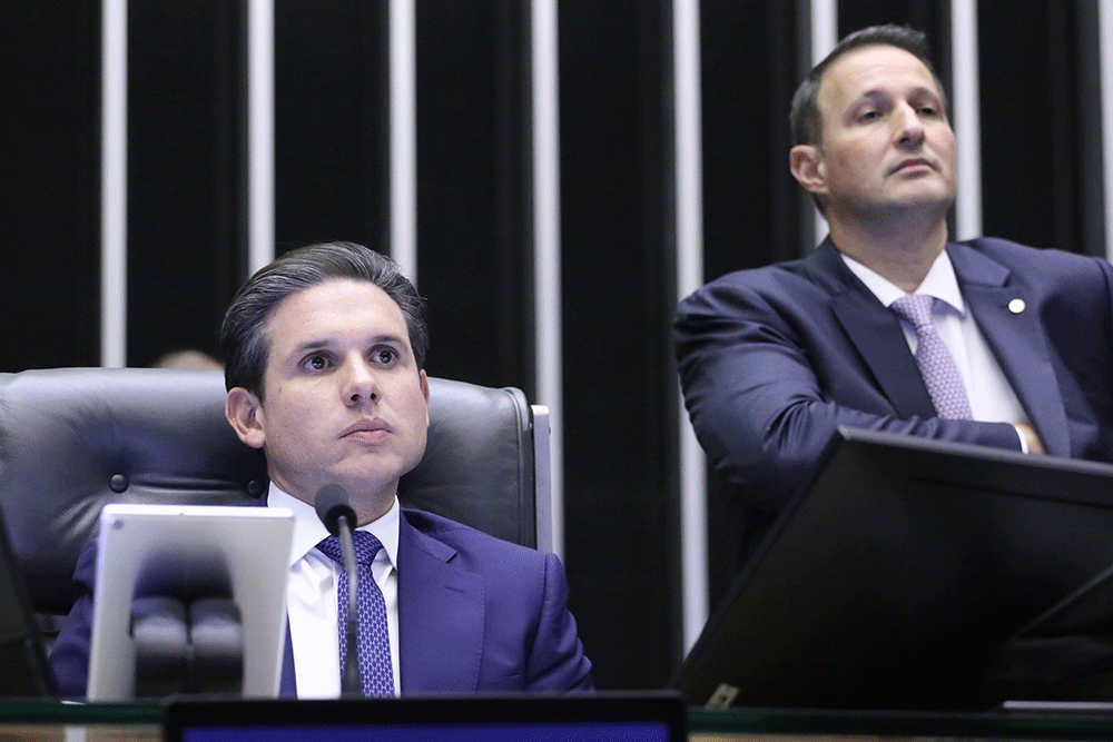 Bandidos de estimação