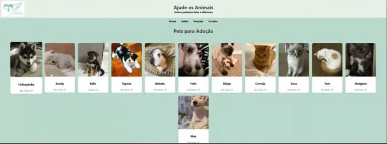 Estudantes criam soluções com tecnologia para apoiar animais em situação de rua