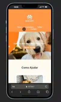 Estudantes criam soluções com tecnologia para apoiar animais em situação de rua