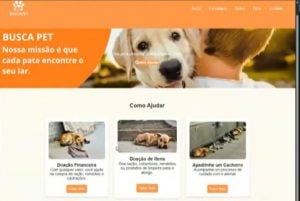Estudantes criam soluções com tecnologia para apoiar animais em situação de rua