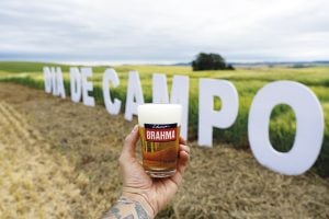 Excelência do grão ao gole