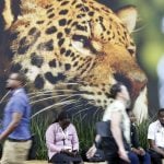 Sem acordo sobre petróleo, mineração e agro ditaram o rumo da COP30