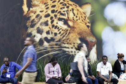 Sem acordo sobre petróleo, mineração e agro ditaram o rumo da COP30