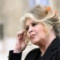 França debate como homenagear Brigitte Bardot entre seu legado e suas polêmicas