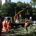 Após ventania, São Paulo tem 1,5 milhão de clientes sem energia