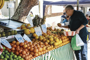 Um passo civilizatório