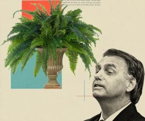 Uma planta para conversar