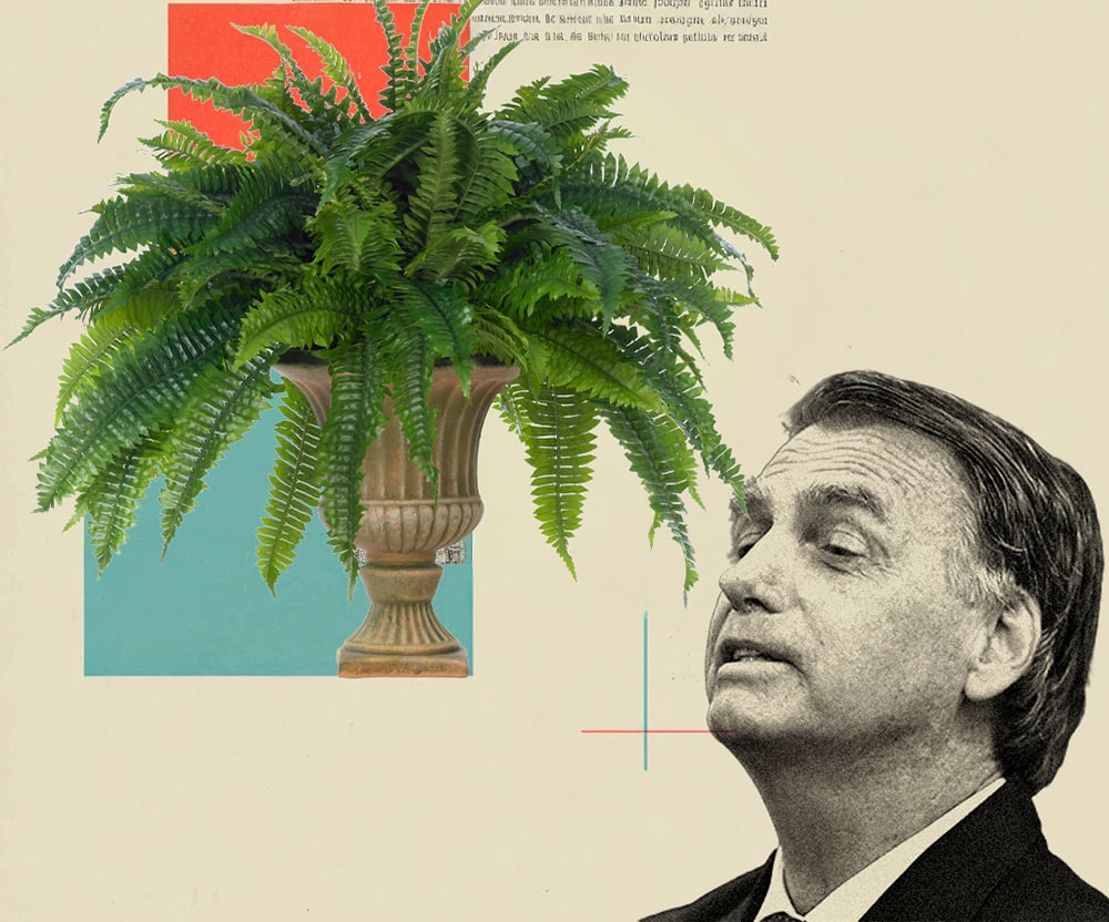 Uma planta para conversar