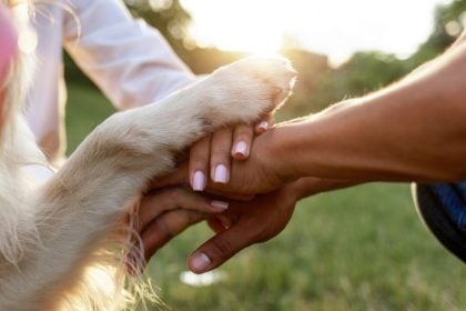 Quimioterapia e pets: saiba como manter a convivência segura
