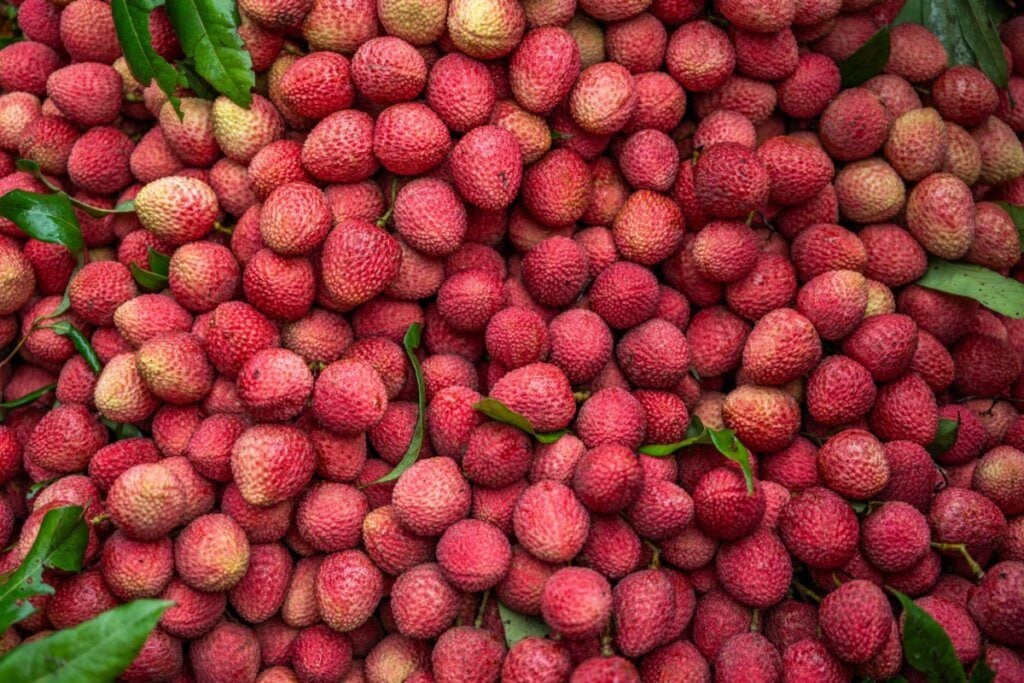 Lichia: 8 benefícios para a saúde e como usá-la na ceia de Natal