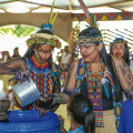 Ayahuasca no marketplace