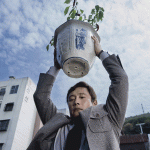 As batalhas mundo afora