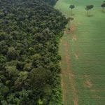 Esvaziamento da Moratória da Soja põe em risco reputação do país, dizem ambientalistas