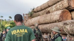 Justiça condena infrator a pagar R$ 5,3 milhões por degradar terra indígena