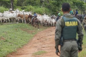 O bolsonarismo ainda assombra as terras indígenas
