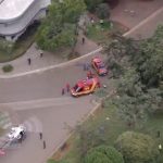 Queda de árvore no Parque do Ibirapuera deixa pessoas feridas