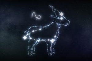 Capricórnio: 4 mitos e verdades sobre o signo mais disciplinado do zodíaco