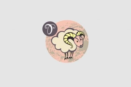 Previsão Astrológica para 04/02/2026: A Razão Guia as Energias dos Signos