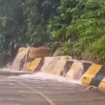 Chuvas deixam 384 desabrigados em Peruíbe, no litoral paulista