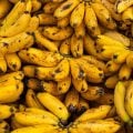 Tipos de banana: conheça 5 variedades e como usá-las em receitas doces e salgadas