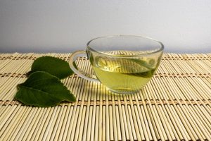 Boldo-do-chile: 7 benefícios para a saúde e dicas de uso diário